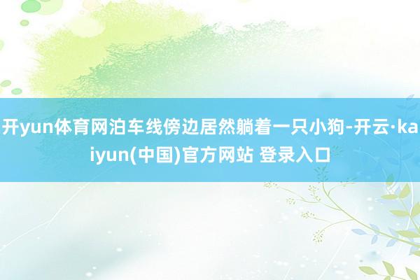 开yun体育网泊车线傍边居然躺着一只小狗-开云·kaiyun(中国)官方网站 登录入口