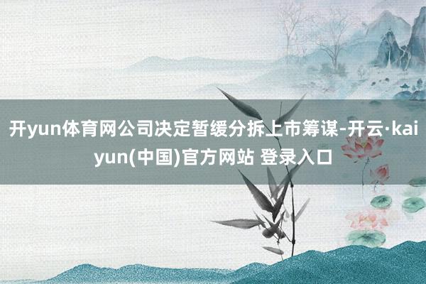 开yun体育网公司决定暂缓分拆上市筹谋-开云·kaiyun(中国)官方网站 登录入口