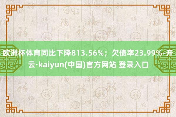 欧洲杯体育同比下降813.56%；欠债率23.99%-开云·kaiyun(中国)官方网站 登录入口