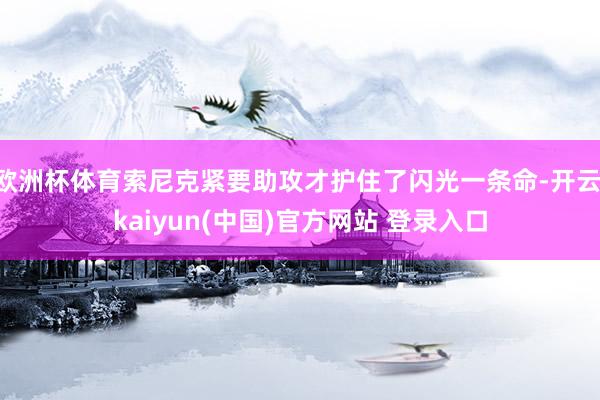 欧洲杯体育索尼克紧要助攻才护住了闪光一条命-开云·kaiyun(中国)官方网站 登录入口