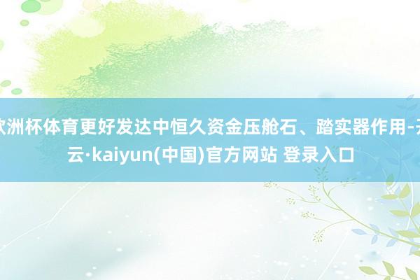 欧洲杯体育更好发达中恒久资金压舱石、踏实器作用-开云·kaiyun(中国)官方网站 登录入口