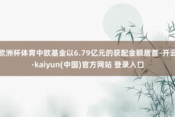 欧洲杯体育中欧基金以6.79亿元的获配金额居首-开云·kaiyun(中国)官方网站 登录入口