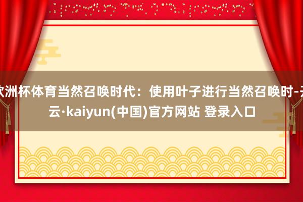 欧洲杯体育当然召唤时代：使用叶子进行当然召唤时-开云·kaiyun(中国)官方网站 登录入口