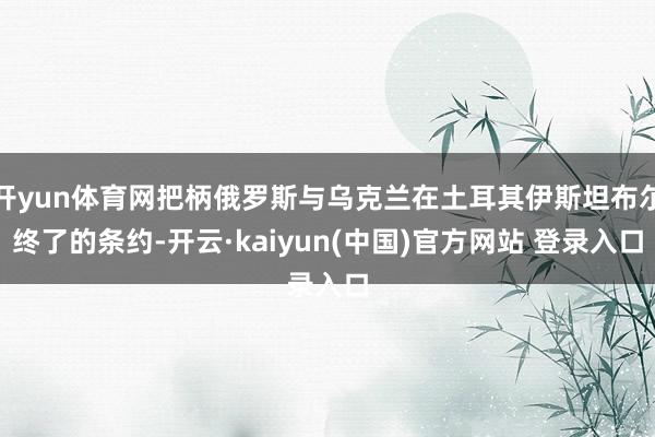 开yun体育网把柄俄罗斯与乌克兰在土耳其伊斯坦布尔终了的条约-开云·kaiyun(中国)官方网站 登录入口