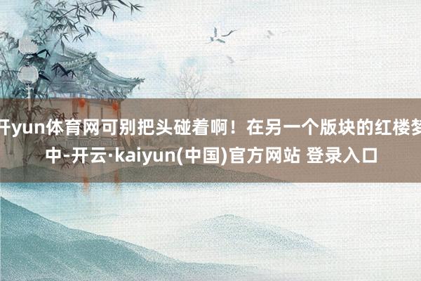 开yun体育网可别把头碰着啊！在另一个版块的红楼梦中-开云·kaiyun(中国)官方网站 登录入口