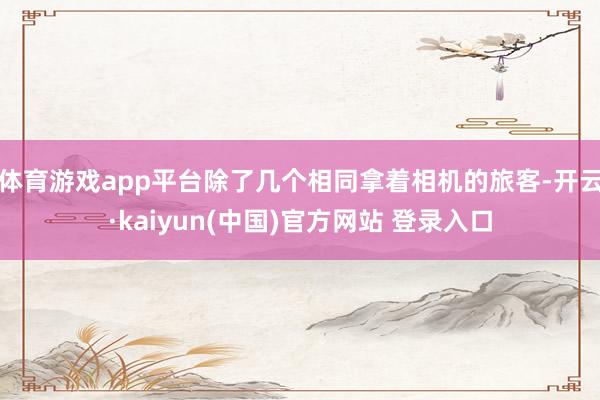 体育游戏app平台除了几个相同拿着相机的旅客-开云·kaiyun(中国)官方网站 登录入口